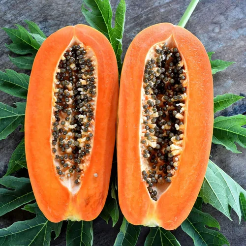 Vista 7 de Trozos de papaya seca deshidratada natural de 2 libras en bolsa, sin color añadido, Kosher, frutas secas, ideal para aperitivos, hornear, mezcla