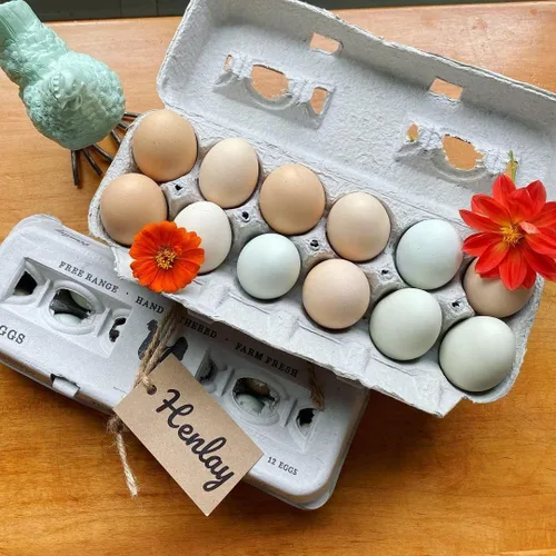 Vista 7 de Cartones de huevos impresos vintage, paquete de 90 cajas de cartón Henlay - Sostiene de forma segura una docena de huevos de pollo pequeños a XL