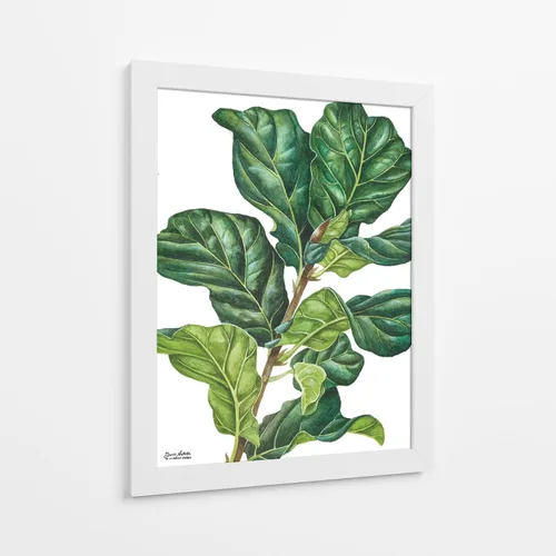 Vista 6 de Canvas Lab Lienzo decorativo para pared, Fiddle Ficus Lyrata del artista Blanca Aurora – Tamaño: 12 x 16 pulgadas – Tema: botánico, naturaleza