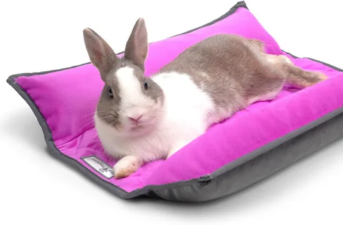 Vista 10 de Paw Inspired Snuggle - Cama con cojín de conejo, gris/gris claro, 17 x 17