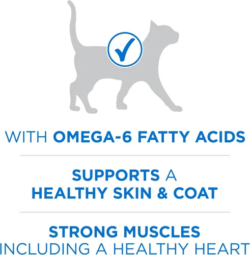 Vista 3 de Purina ONE Plus Alimento seco para gatos con alto contenido de proteínas