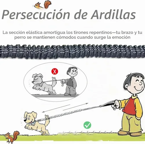 Vista 2 de Correa elástica para perro - Correa de nylon reflectante y de 5 pies con absorción de golpes Entrenamiento anti-jalón para perros Negro