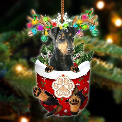Vista 8 de NAZENTI Adorno Navideño de Bolsillo Personalizado de Affenpinscher en la Nieve, Adorno de Forma Acrílica de Perro, Adorno de Navidad 2023, Adorno