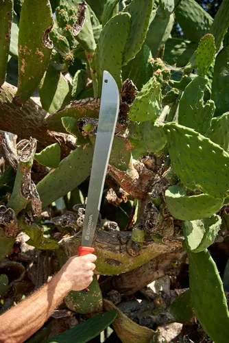 Vista 6 de Corona Tools MA 60062 ErgoHandle Machete, 22 pulgadas, plateado