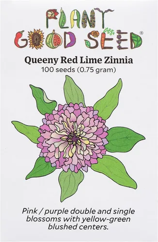Vista 10 de Plant Good Seed Organic Benary's - Semillas gigantes de zinnia de coral para plantar: flor cortada para clima cálido, flores apiladas doble, paquete