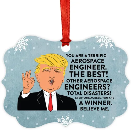 Vista 117 de Andaz Press Presidente Donald Trump Fancy Frame Recuerdo Adorno de Navidad Regalo de broma Ejecutivo de Cuenta, 1 paquete, Divertidas Ideas