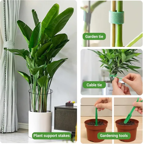 Vista 3 de Kikhope Estacas de soporte para plantas, paquete de 8 estacas de metal para jardín, jaula de soporte de peonía semicircular, soporte de bordes