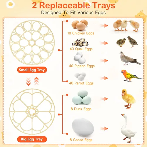 Vista 9 de 18 incubadoras de huevos para incubar huevos, incubadora automática de giro de huevos y control de humedad para eclosionar pollo, pato, codorniz