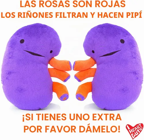 Vista 5 de Riñón de tejido suave, When Urine Love! - Serie I Heart Guts.