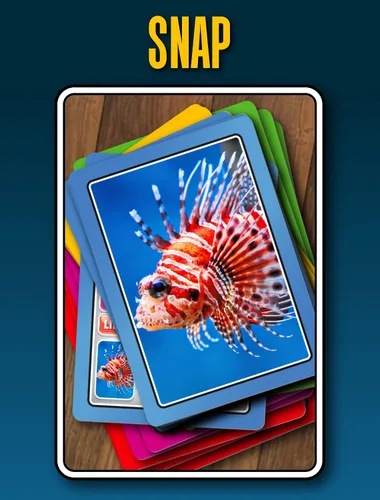 Vista 6 de SMART CARDS Animales Juego de cartas 7 juegos en 1 Snap, Rummy, pares y más Juego educativo de viaje A partir de 5 años, 1-8 jugadores