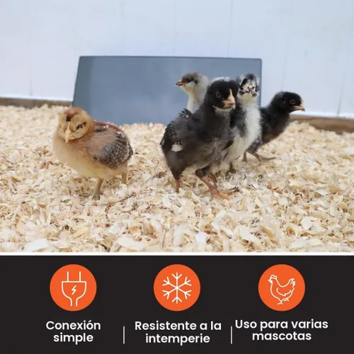 Vista 4 de Cozy Products Cozy Coop - Calentador de gallinero, panel plano, 150 vatios