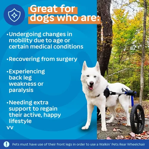 Vista 4 de Silla de ruedas de perro para perros pequeños, 26 a 69 libras, de Walkin' Wheels, 5, Azul