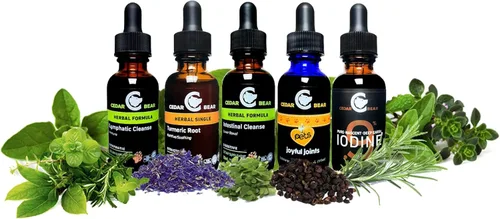 Vista 3 de Cedar Bear El sistema inmunitario se apaga. Para niños, un suplemento herbal líquido que apoya y activa la respuesta del sistema inmunológico