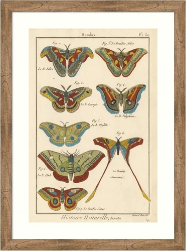 Vista 12 de Amanti Art Lienzo decorativo para pared enmarcado de 24 x 18 pulgadas, diseño de mariposas de naturaleza III de historia, arte de pared de animales