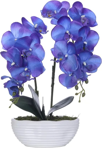 Vista 18 de Planta de orquídea artificial grande en maceta, arreglo floral de seda con jarrón de cerámica, morado oscuro