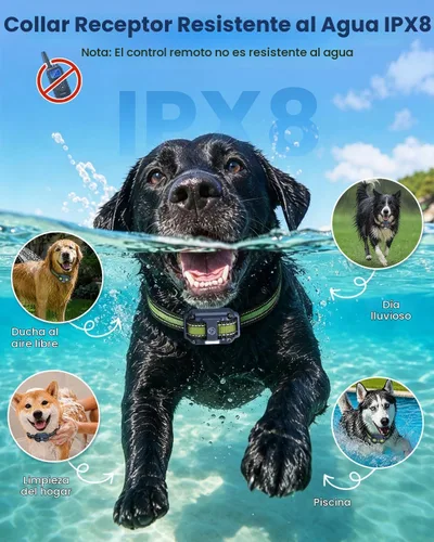 Vista 4 de Collar electrónico para perro con control remoto, collar de entrenamiento de perro impermeable de 2600 pies para perros pequeños, medianos