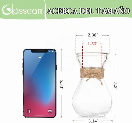 Vista 4 de Glasseam Jarrón de cristal transparente para flores, juego de 3 jarrones de bombilla para forzar bulbos de jacinto, pequeños jarrones decorativos