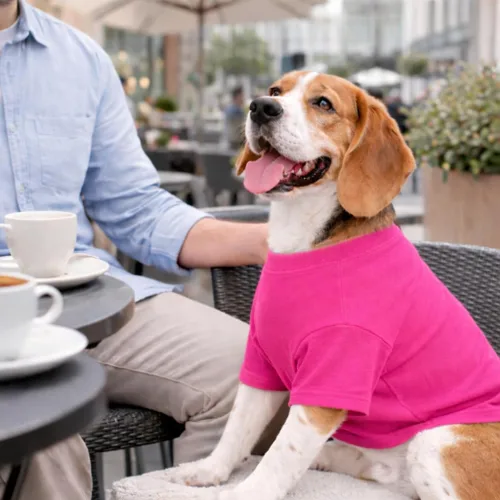 Vista 78 de Lovelonglong 2019 - Ropa para mascotas, Disfraces para Perro, Ropa Camisetas en blanco para Perros Grande Medianos Pequeños 100% Algodón 18
