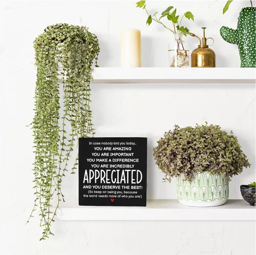 Vista 6 de HTBIG Regalos inspiracionales para hombres, mujeres, amigos, decoración de oficina para compañeros de trabajo, regalos de reconocimiento, You Are