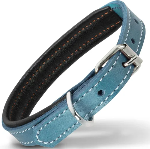 Vista 22 de Filbert Collar de cuero para perro, collar de cuero genuino para perros pequeños, acolchado de lujo, fuerte, ajustable para todas las razas, hebilla