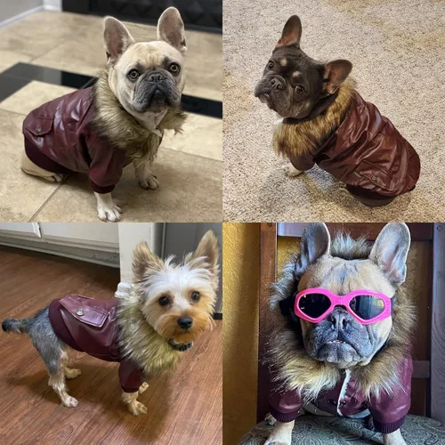 Vista 7 de Chamarra impermeable Lesypet de cuero para perro, abrigo invernal para perros pequeños y medianos, Negro