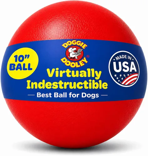 Vista 13 de Prácticamente indestructible (duro), mejores pelota para perros