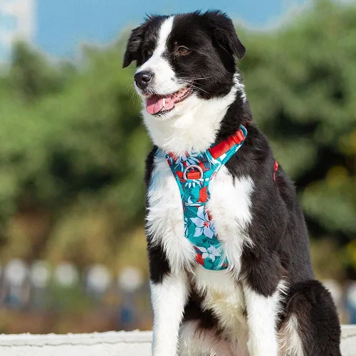 Vista 5 de TRUE LOVE Arnés para perro sin tirones de nailon reflectante suave camuflaje arnés para mascotas para perros pequeños grandes corriendo
