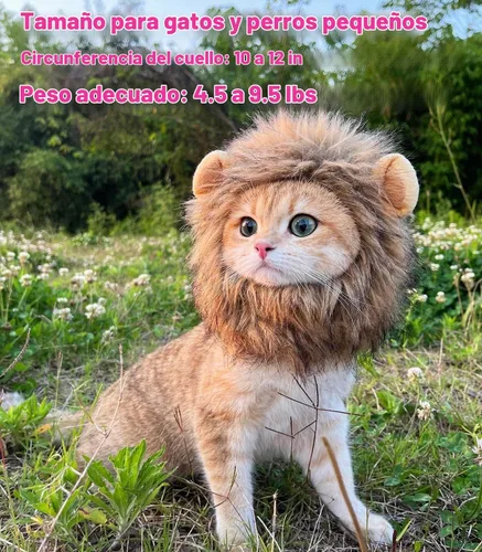 Vista 5 de Peluca para disfraz de gatos y perros Lion Mane, ajustable, lavable y cómoda, ropa de perro para Halloween, Navidad o Pascua , m, Gris