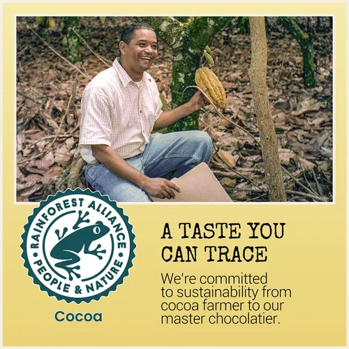 Vista 4 de Chocolove Barras de chocolate negro 55% cacao Elaboradas con chocolate suave semidulce premium Sin OMG, certificado Rainforest Alliance, barra