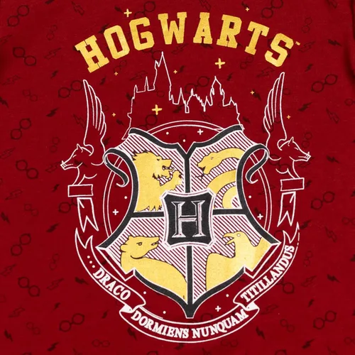 Vista 3 de Harry Potter Hogwarts - Vestido tipo suéter de manga larga con volantes de rizo francés para niñas