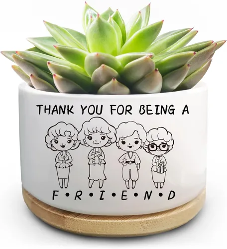 Vista 9 de Maceta Divertida para Plantas Suculentas, Maceta Pequeña para Plantas de Interior, Lindas Macetas de Cerámica para Cactus con Drenaje, Decoración