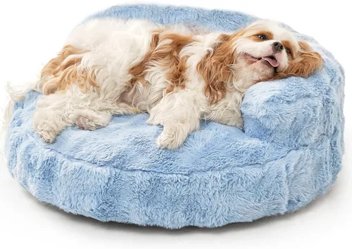 Vista 21 de EHEYCIGA Sofá cama suave para gatos de interior, cama extra pequeña esponjosa para perros con funda extraíble lavable, sofá para mascotas, Camello