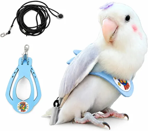 Vista 24 de Juego de arnés ajustable y correa para pájaros pequeños, apto para periquitos, conures, cacatúas, mejillas verdes, loros cuáqueros (verde, XS) 6350-6