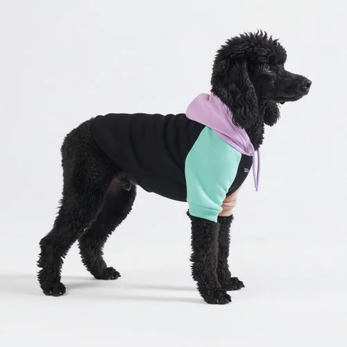 Vista 35 de Spark Paws Sudadera con capucha para perro, suéter de primera calidad para perros pequeños, medianos y grandes Trajes cálidos para bulldogs