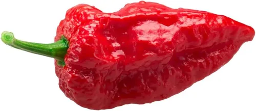 Vista 10 de Semillas de pimiento exótico para plantar - (pimienta de 5 colores)