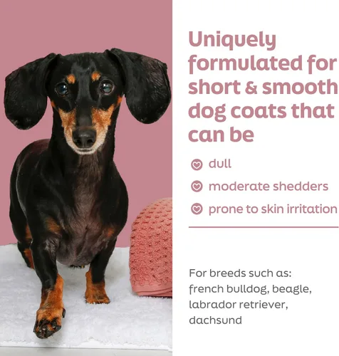 Vista 3 de True Coat Short & Smooth Coat - Champú para perros, 5 en 1, calma y brilla con leche de avena, aceite de coco y vitamina E, 16 onzas Corto y suave