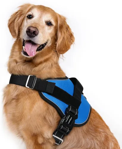 Vista 13 de rabbitgoo Arnés para perro pequeño, chaleco fácil de poner para mascotas con una hebilla, arnés de servicio ajustable sin tirones con anillo en D