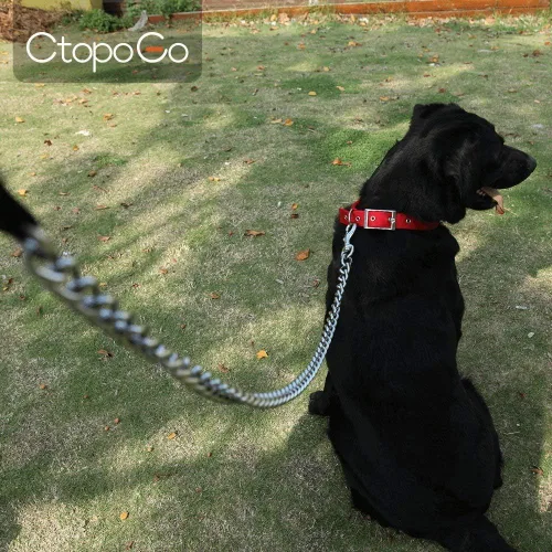 Vista 8 de Correa resistente para perro, correa de metal para perro con mango acolchado para perros grandes y medianos (4 pies x 0.118 in (0-80 libras))