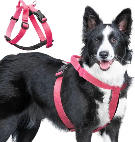 Vista 10 de Galaxy - Arnés reflectante para perro, ajuste ajustable de 4 puntos, hebillas antipellizcos, control de clip trasero y asa de emergencia, forro