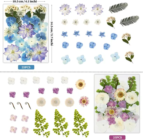 Vista 3 de 100 piezas de flores prensadas secas de hortensias para manualidades de Hortensia 100pcs