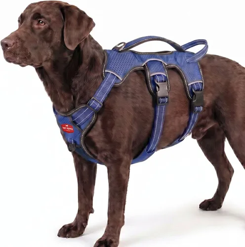 Vista 10 de Tuff Pupper Arnés para perro sin escape a prueba de escape, arnés ajustable de 5 puntos para perros, arneses acolchados para perros, arneses