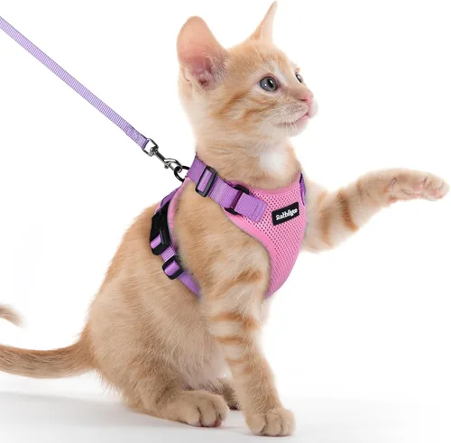 Vista 38 de rabbitgoo Cat Harness and Leash Set, Escape Proof Vest, XXS, Berry Pounce Soft Breathable Mesh, No-choke Adjustable Fit, Snap Buckles, Sturdy