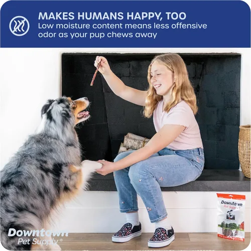 Vista 5 de Downtown Pet Supply Thin Junior Bully Sticks (6 pulgadas – 1/2 libra) – Palitos de matón para perros pequeños y cachorros – Un solo ingrediente