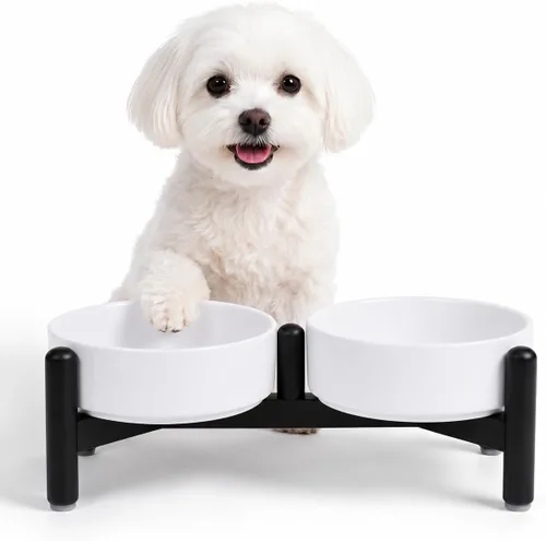 Vista 28 de Juego de cuencos elevados de cerámica para perros con soporte, 2 tazas de Negro
