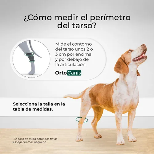 Vista 3 de Ortocanis Férula de Hock para perros - inmoviliza. Protege. Apoya el tobillo - Férulas flexibles extraíbles.