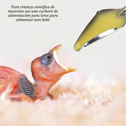 Vista 5 de 6 cucharas de alimentación de mascotas de acero inoxidable, herramienta de alimentación de loro, comedero para pollos.