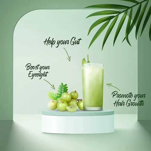 Vista 3 de GARDEN OF NUTRITION Jugo de hierbas y ayurvédicas Amla Premium Puro y natural Rica fuente de vitamina C natural (16.9 fl oz) Paquete de 1