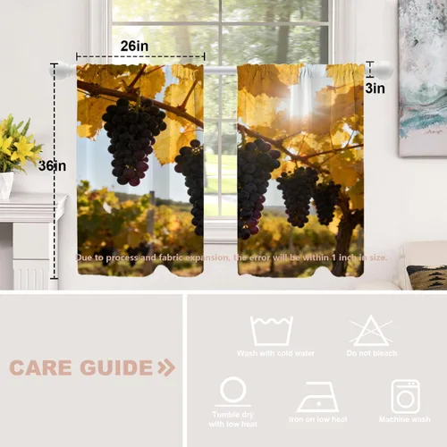 Vista 501 de Shrahala Orange Autumn Autumn Blackout Curtain Tiers, Fall Kitchen Valance Light Blocking Tier Drapes with Rod Pocket, 2 Pack 26 X 24 in