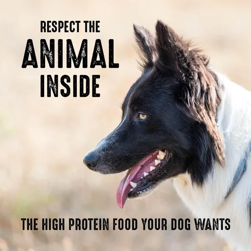 Vista 7 de Crave Comida con proteína para perros, libre de granos, adulto 34% protein, real animal protein, no by-product meal, no corn, wheat, soy,
