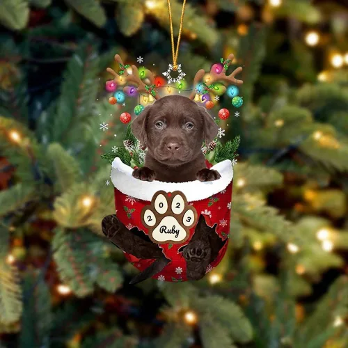 Vista 205 de Adornos personalizados de Pug cervatillo – Decoración personalizada para árbol de Navidad con patas de bolsillo de nieve